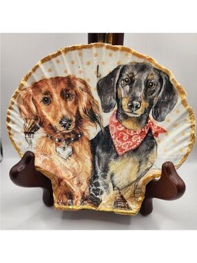 SCALLOPED FAN SHELL 